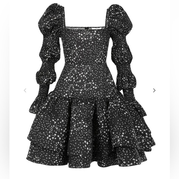 Selkie What a Night Beverly Hills Dress 2X - Picture 2 of 6